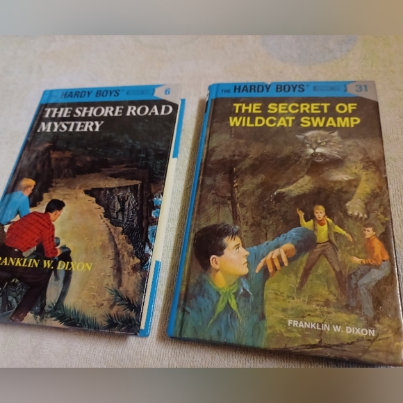 The Hardy Boys-Bundle Of 7 Books- Published Early To Mid 2000's - Picture 6 of 10